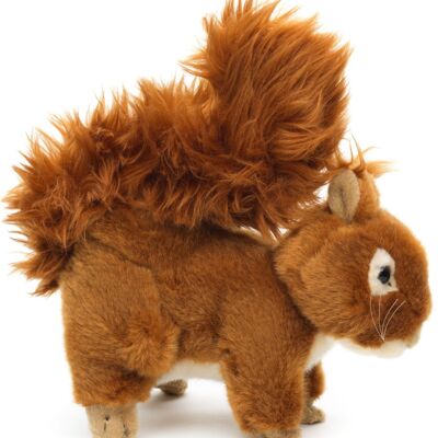 Écureuil, couché - 18 cm (longueur) - Mots clés : animal de la forêt, peluche, peluche, peluche, peluche