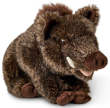 Sanglier, assis - 18 cm (hauteur) - Mots clés : animal de la forêt, jeune, peluche, peluche, peluche, peluche 1