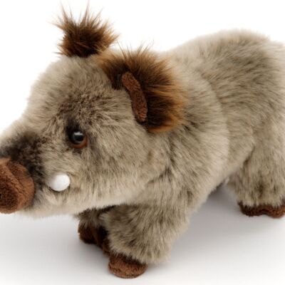 Wild boar, standing - 25 cm (length) - Keywords: forest animal, youngling, plush, plush toy, stuffed animal, cuddly toy