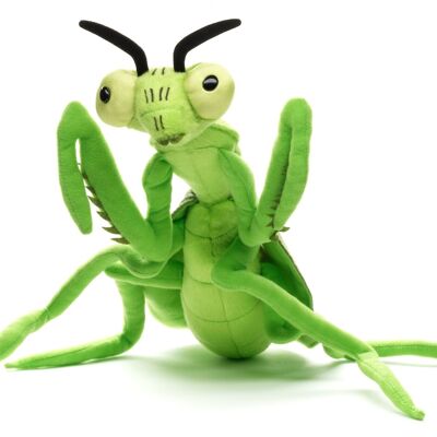 Mantis religiosa - 34 cm (largo) - Palabras clave: animal del bosque, saltamontes, insecto, peluche, peluche, peluche, peluche