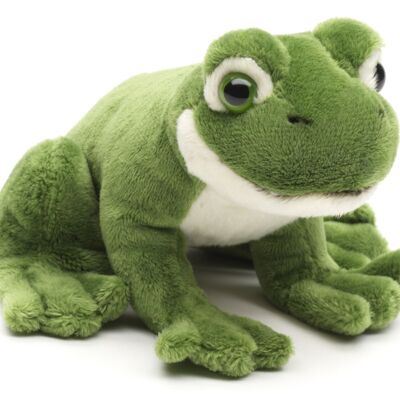 Peluche rana verde, sentado - 13 cm (largo) - Palabras clave: animal del bosque, animal acuático, peluche, peluche, peluche, peluche