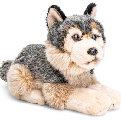 Gray wolf, lying - 22 cm (length) - Keywords: forest animal, wolf, plush, plush toy, stuffed animal, cuddly toy