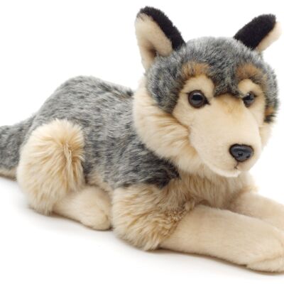 Gray wolf, lying - 30 cm (length) - Keywords: forest animal, wolf, plush, plush toy, stuffed animal, cuddly toy