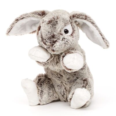 Lapin aux oreilles tombantes, grand (marron foncé) - super doux - 22 cm (hauteur) - Mots clés : animal de la forêt, lapin, peluche, peluche, peluche, peluche