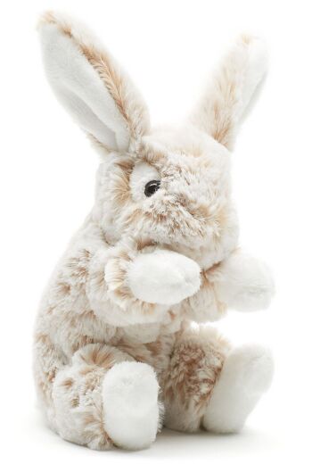 Lapin aux oreilles tombantes, petit (marron clair) - super doux - 15 cm (hauteur) - Mots clés : animal de la forêt, lapin, peluche, peluche, peluche, peluche 1