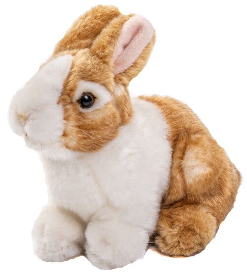 Kaninchen, sitzend (braun-weiß) - 20 cm (Länge) - Keywords: Waldtier, Hase, Plüsch, Plüschtier, Stofftier, Kuscheltier