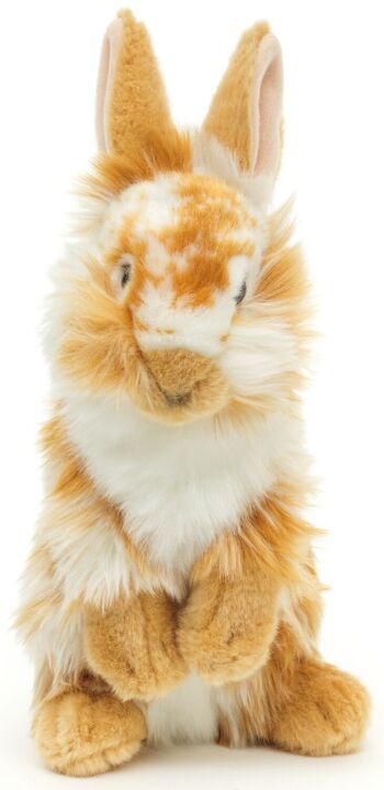 Lapin tête de lion, debout (tacheté de blanc doré) - Avec oreilles relevées - 23 cm (hauteur) - Mots clés : animal de la forêt, lièvre, lapin, peluche, peluche, peluche, peluche 3