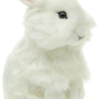 Lionhead rabbit, standing (white) - With raised ears - 23 cm (height) - Keywords: forest animal, hare, rabbit, plush, plush toy, stuffed toy, cuddly toy