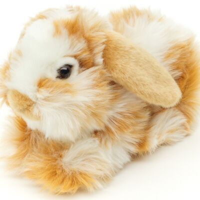 Lionhead rabbit, lying (gold-white spotted) - With hanging ears - 23 cm (length) - Keywords: forest animal, hare, rabbit, plush, plush toy, stuffed animal, cuddly toy