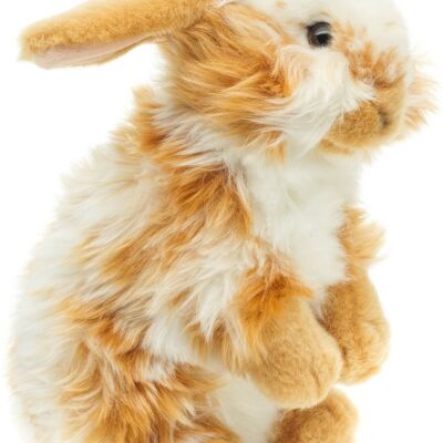 Conejo cabeza de león, de pie (moteado blanco dorado) - Con orejas colgantes - 23 cm (altura) - Palabras clave: animal del bosque, liebre, conejo, peluche, peluche, peluche, peluche