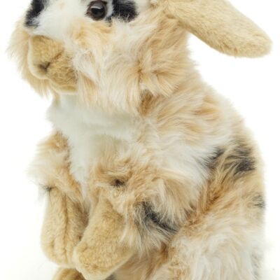 Lionhead rabbit, standing (black-brown-white spotted) - With hanging ears - 23 cm (height) - Keywords: forest animal, hare, rabbit, plush, plush toy, stuffed animal, cuddly toy