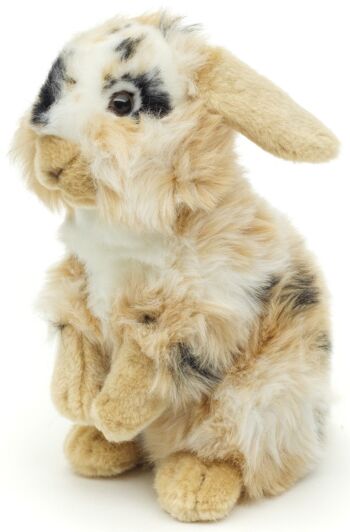 Lapin tête de lion, debout (tacheté de noir-marron-blanc) - Avec oreilles pendantes - 23 cm (hauteur) - Mots clés : animal de la forêt, lièvre, lapin, peluche, peluche, peluche, peluche 1