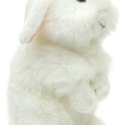 Lionhead rabbit, standing (white) - With hanging ears - 23 cm (height) - Keywords: forest animal, bunny, rabbit, plush, plush toy, stuffed toy, cuddly toy