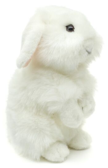 Lapin tête de lion, debout (blanc) - Avec oreilles pendantes - 23 cm (hauteur) - Mots clés : animal de la forêt, lapin, lapin, peluche, peluche, peluche, peluche 1