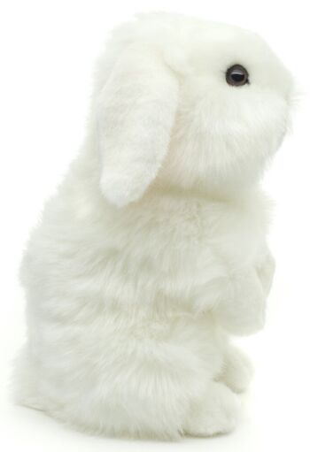 Lapin tête de lion, debout (blanc) - Avec oreilles pendantes - 23 cm (hauteur) - Mots clés : animal de la forêt, lapin, lapin, peluche, peluche, peluche, peluche 2