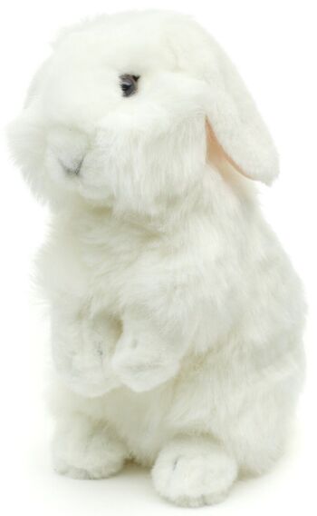 Lapin tête de lion, debout (blanc) - Avec oreilles pendantes - 23 cm (hauteur) - Mots clés : animal de la forêt, lapin, lapin, peluche, peluche, peluche, peluche 3