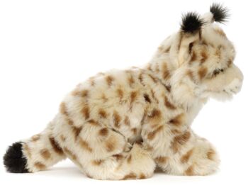 Lynx, assis - 31 cm (longueur) - Mots clés : animal de la forêt, chat sauvage, peluche, peluche, peluche, peluche 3