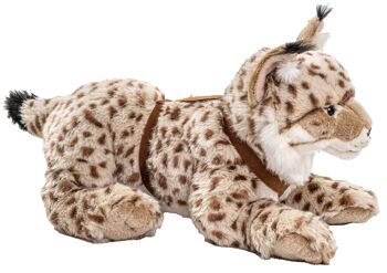Lynx, couché (avec harnais) - 46 cm (longueur) - Mots clés : animal de la forêt, chat sauvage, peluche, peluche, peluche, peluche 1