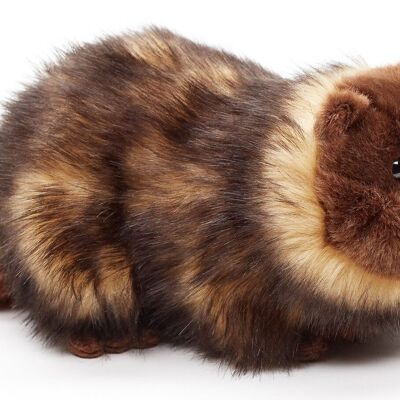 Marmotta sdraiata - 24 cm (lunghezza) - Parole chiave: animale della foresta, peluche, peluche, animale di peluche, peluche