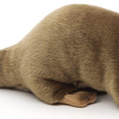 Lontra, in piedi - 45 cm (lunghezza) - Parole chiave: animale della foresta, animale acquatico, peluche, peluche, animale di peluche, peluche