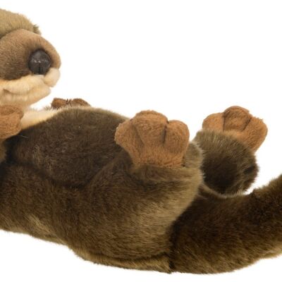 Otter back swimmer - 26 cm (length) - Keywords: forest animal, aquatic animal, plush, plush toy, stuffed animal, cuddly toy
