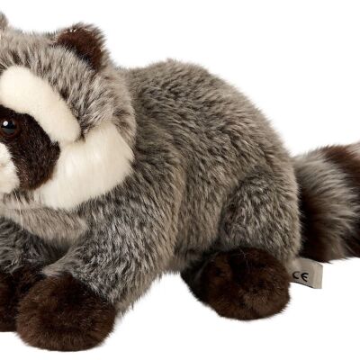 Raccoon - 23 cm (length) - Keywords: forest animal, bear, plush, plush toy, stuffed animal, cuddly toy