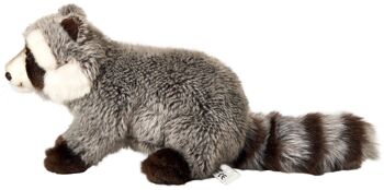 Raton laveur - 23 cm (longueur) - Mots clés : animal de la forêt, ours, peluche, peluche, peluche, peluche 3