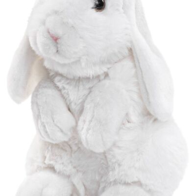 Conejo carnero, sentado (blanco) - 19 cm (alto) - Palabras clave: animal del bosque, liebre, conejo, peluche, peluche, peluche, peluche