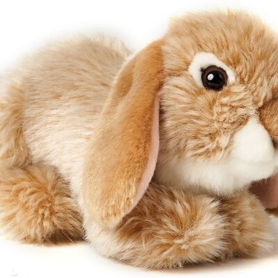Coniglio montone, sdraiato (beige) - 18 cm (lunghezza) - Parole chiave: animale della foresta, lepre, coniglio, peluche, peluche, animale di peluche, peluche
