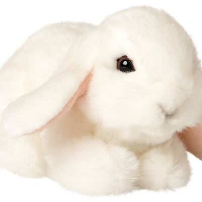 Conejo carnero, acostado (blanco) - 18 cm (largo) - Palabras clave: animal del bosque, liebre, conejo, peluche, peluche, peluche, peluche