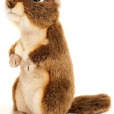 Écureuil terrestre, debout - 20 cm (hauteur) - Mots clés : animal de la forêt, peluche, peluche, peluche, peluche