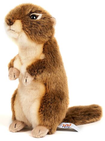 Écureuil terrestre, debout - 20 cm (hauteur) - Mots clés : animal de la forêt, peluche, peluche, peluche, peluche 1