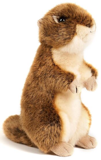 Écureuil terrestre, debout - 20 cm (hauteur) - Mots clés : animal de la forêt, peluche, peluche, peluche, peluche 3