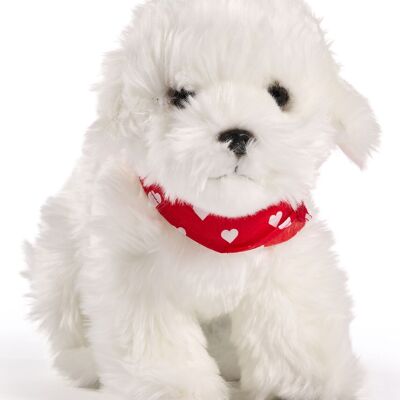 Maltese, in piedi - Con sciarpa (motivo a cuore) - 32 cm (lunghezza) - Parole chiave: animale domestico, cane, orsacchiotto, San Valentino, festa della mamma, peluche, peluche, peluche, peluche