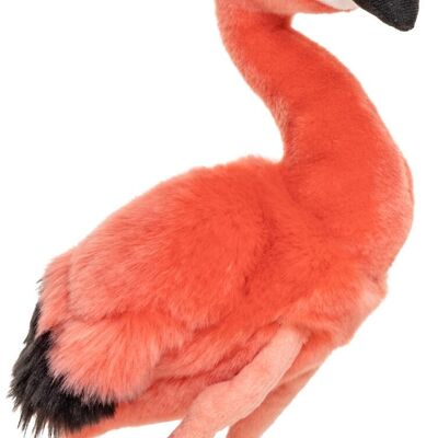 Flamant rose, avec boucle - 19 cm (hauteur) - Mots clés : oiseau, animal sauvage exotique, peluche, peluche, peluche, doudou