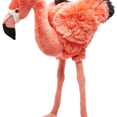 Flamenco rosa, de pie - 46 cm (alto) - Palabras clave: pájaro, animal salvaje exótico, peluche, peluche, peluche, peluche