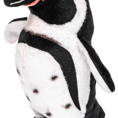 Pingüino de Humboldt - 17 cm (alto) - Palabras clave: pájaro, pingüino, animal salvaje exótico, peluche, peluche, animal de peluche, peluche