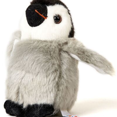 Peluche Pingüino - 12 cm (alto) - Palabras clave: pájaro, pingüino, animal salvaje exótico, peluche, peluche, peluche, peluche