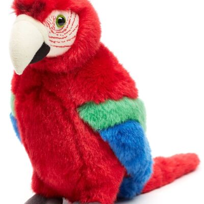 Perroquet (rouge) - 24 cm (hauteur) - Mots clés : oiseau, ara, animal sauvage exotique, peluche, peluche, peluche, peluche
