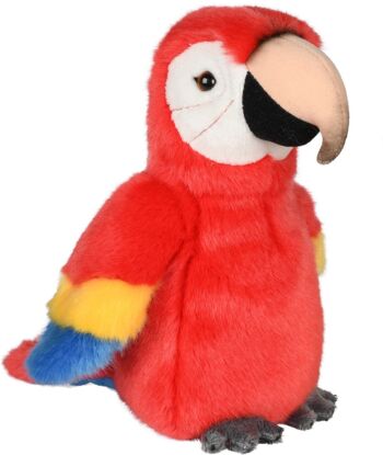 Perroquet (rouge) - 21 cm (hauteur) - Mots clés : oiseau, ara, animal sauvage exotique, peluche, peluche, peluche, peluche 2