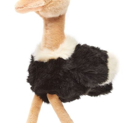 Ostrich - 28 cm (height) - Keywords: bird, exotic wild animal, plush, plush toy, stuffed animal, cuddly toy
