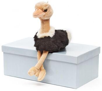 Autruche - 28 cm (hauteur) - Mots clés : oiseau, animal sauvage exotique, peluche, peluche, peluche, peluche 4