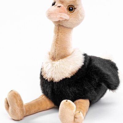 Ostrich - 36 cm (height) - Keywords: bird, exotic wild animal, plush, plush toy, stuffed animal, cuddly toy