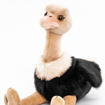 Ostrich - 36 cm (height) - Keywords: bird, exotic wild animal, plush, plush toy, stuffed animal, cuddly toy