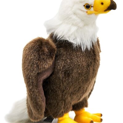 Aquila calva - 24 cm (altezza) - Parole chiave: uccello, aquila, peluche, peluche, animale di peluche, peluche