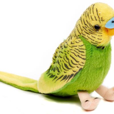 Budgie (green) - With chirping voice - 12 cm (height) - Keywords: bird, pet, plush, plush toy, stuffed animal, cuddly toy