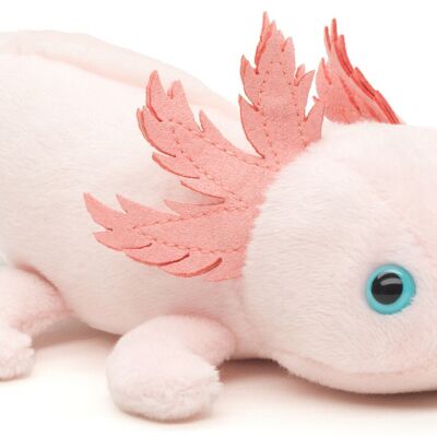 Axolotl with magnet - 15 cm (length) - Keywords: aquatic animal, plush, plush toy, stuffed animal, cuddly toy