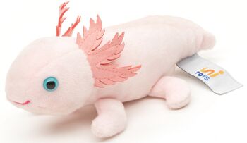 Axolotl avec aimant - 15 cm (longueur) - Mots clés : animal aquatique, peluche, peluche, peluche, peluche 3