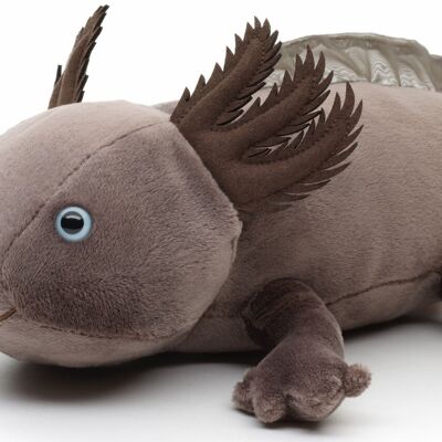 Original Uni-Toys Axolotl (brown-gray) - 32 cm (length) - Keywords: aquatic animal, plush, plush toy, stuffed animal, cuddly toy