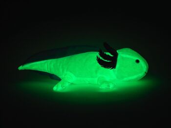 Original Uni-Toys Axolotl (bleu clair) - Brille dans le noir (peluche fluorescente) - 32 cm (longueur) - Mots clés : animal aquatique, peluche, peluche, peluche, peluche 6